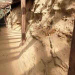 Reperti fossili -  EGAP Parco paleontologico astigiano